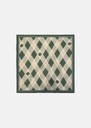 Ethan scarf green printed cotton Jade TARA JARMON US